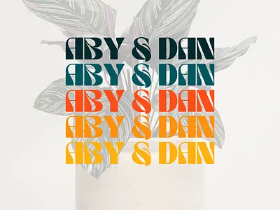 ABY & DAN branding charte graphique design graphic design graphisme illustration logo vector