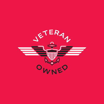 iStorm Group Veteran Owned Logo brand branding design graphic design identity logo