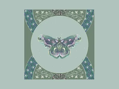 night butterfly art artwork illustration jungle tropical