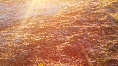 Geada no Rio Grande do Sul geada inverno riograndedosul