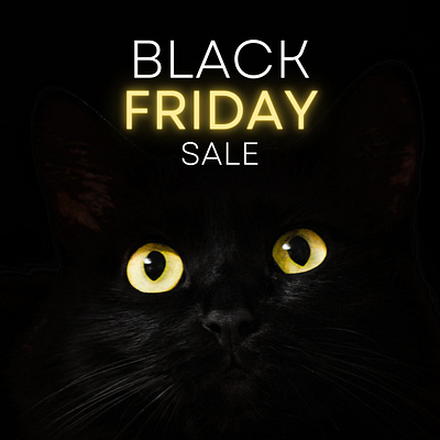 Black cat black Friday sale branding design digital art graphic design illustration ui