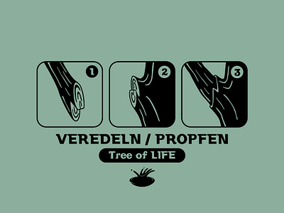 Crafting | Veredeln | Pfropfen dead god jesus life new old stick tree