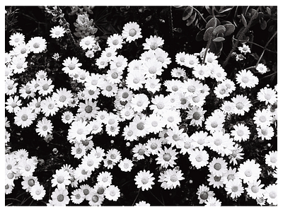 Black & White Film Photography - Seoul, South Korea film photography