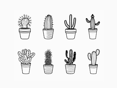 Vector Collection of Cactus indoor plant