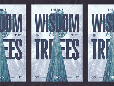 There's Wisdom in the Trees Poster camping earth hiking nature poster readwood sequoia texture tree wisdom