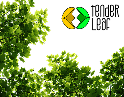 Tender Leaf: A Tree Plantation Project branding design graphic design logo typography vector