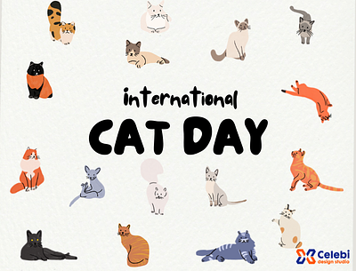 INTERNATIONAL CAT DAY catday celebi