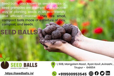 SEED BALLS customized return gifts seed balls seeded wedding invitations