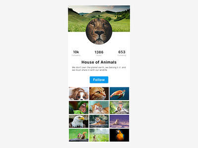 Daily UI challenge - 6/100 User profile daily ui challenge design ui