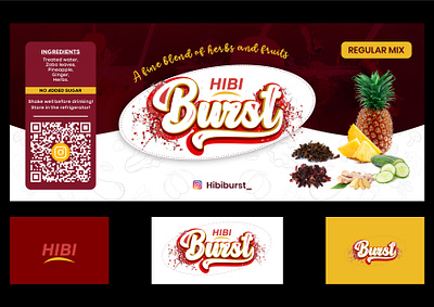 HIBIBurst branding corel draw design flyer graphic design illustration logo