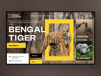 National Geographic Web Site Design creative design landingpage ui uidesign ux uxinterface website