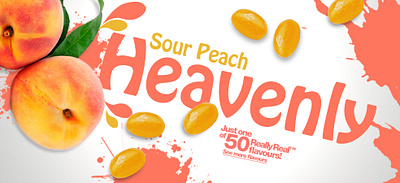 Jelly Belly Advert Concept banner ad graphic design web design