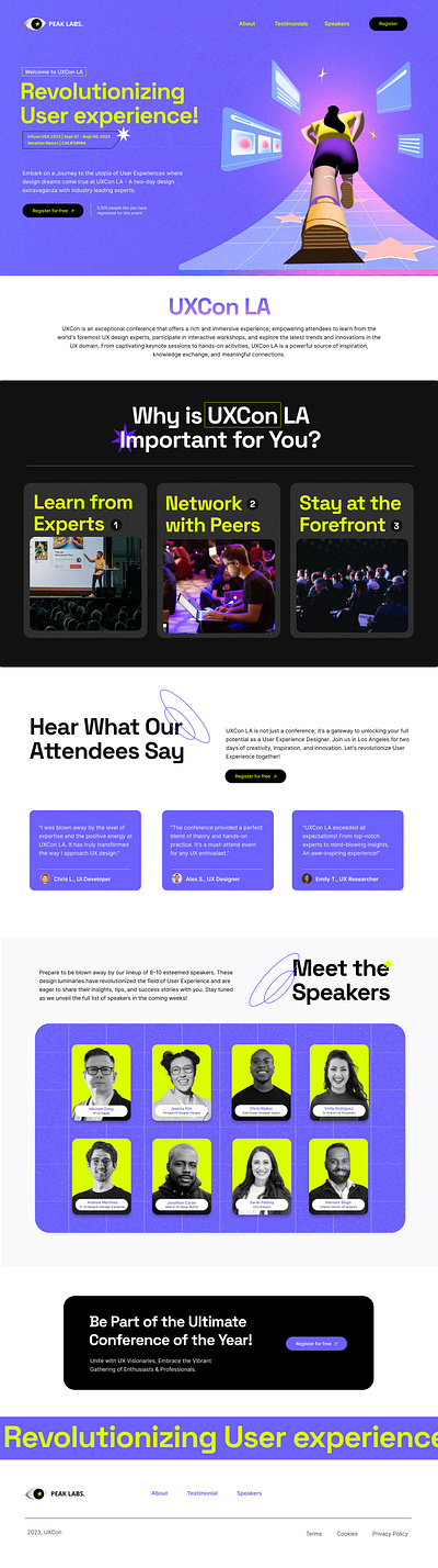 A Microsite design for a conference design illustration typography ui ux