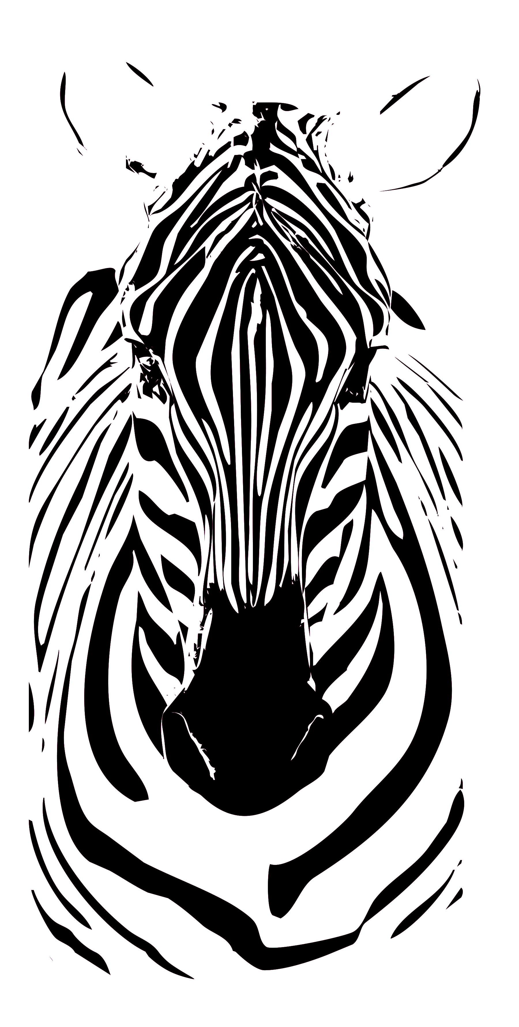 disco Zebra disco illustration shunte88 vector zebra