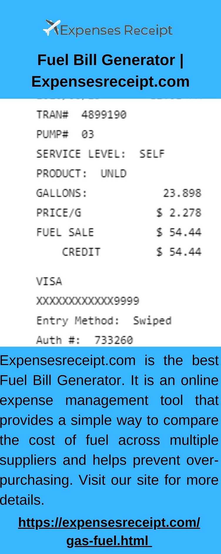 Fuel Bill Generator by Expenses Receipt on Dribbble