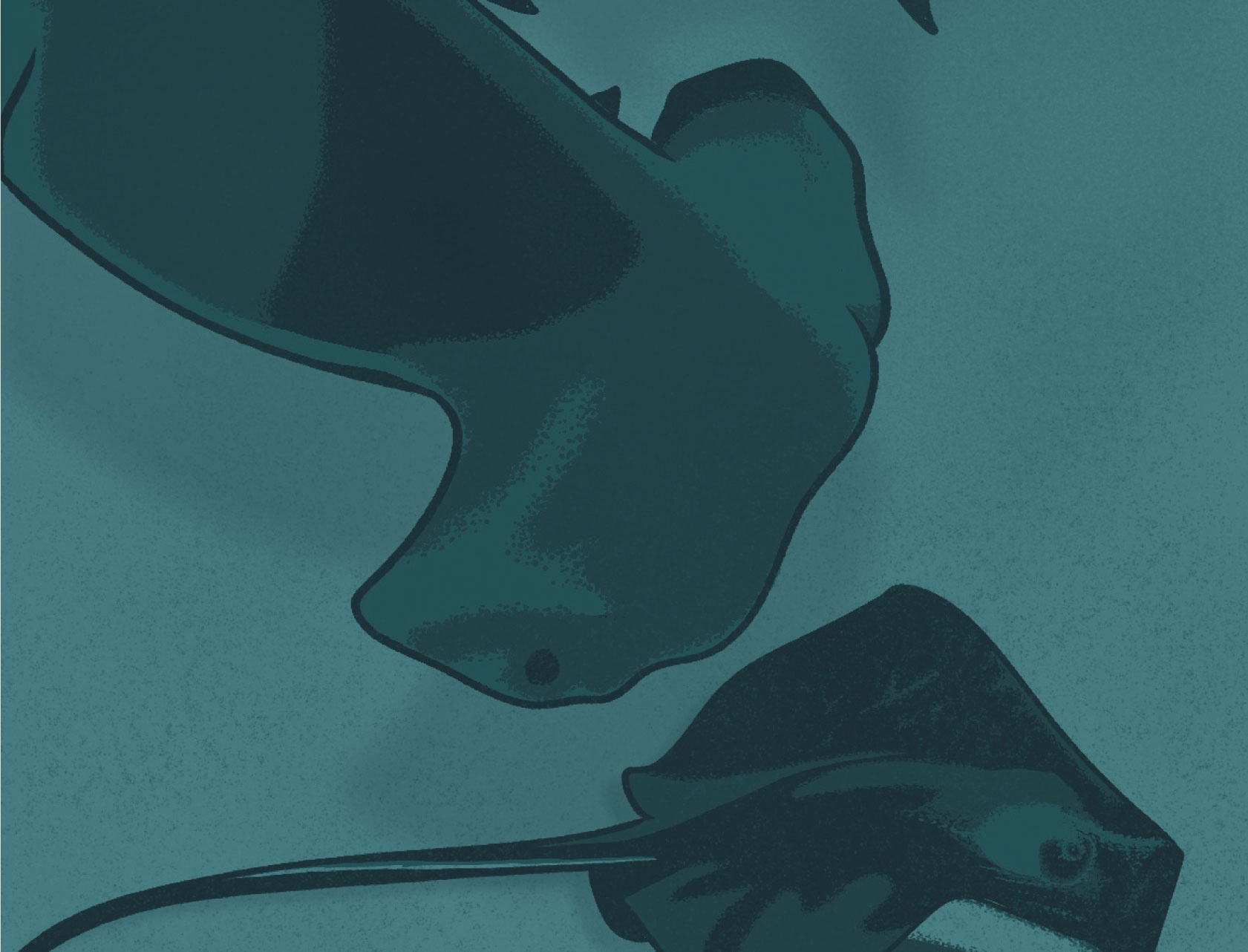 Shark Week 2023, Hammerhead conservation diving fishing hammerhead hunting illustration marine ocean prey scalloped sea shark shark week sharks stingray underwater week wildlife woodcraft woodworking
