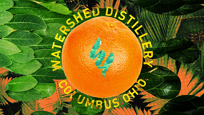 Watershed Distillery - Logo Love alcohol animation beverage citrus cocktail collage fun gin grapefruit label lemon logo mixed media motion graphics ohio orange product summer swirl tropical