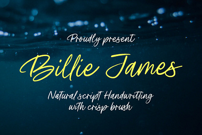 Billie James Handwriting brush script branding design font identity illustration lettering logo type typography ui