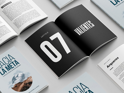 Hacia la Meta design editorial graphic design