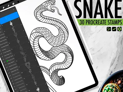 30 Snake Procreate Stamps brushes for procreate procreate procreate brushes