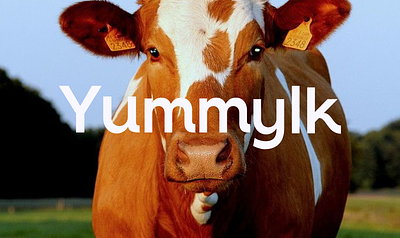 Yummylk | Visual Identity brand design brand identity branding cow dairy product design graphic design identity illustrator logo milk packing photoshop product design visual identity