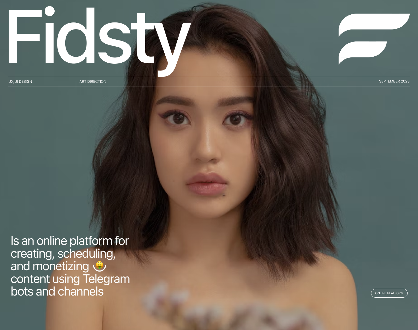 Fidsty app branding design interaction interface logo ui ux