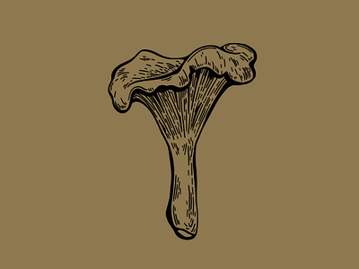 Chanterelle Mushroom Illustration botanical design drawing edible fungi fungus hand drawn icon illustration illustration art illustrator line art logo mushroom nature organic plant symbol vector wild