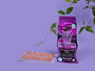 Lava Llama Packaging Branding | Design By Ayelet art artwork branding design digital art digital illustration graphic design illustration logo ui