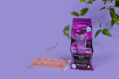 Lava Llama Packaging Branding | Design By Ayelet art artwork branding design digital art digital illustration graphic design illustration logo ui