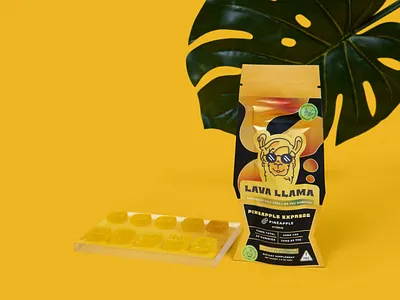 Lava Llama Packaging Branding | Design By Ayelet art artwork branding design digital art digital illustration graphic design illustration logo ui