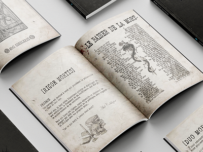 [ROLEPLAY] Fake book in Red Dead RP graphic design illustration