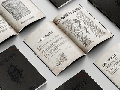 [ROLEPLAY] Fake book in Red Dead RP graphic design illustration