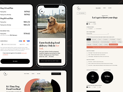 Clean Bowl Club — Website design clean design dog minimal pet pet food typography ui ux web web design website