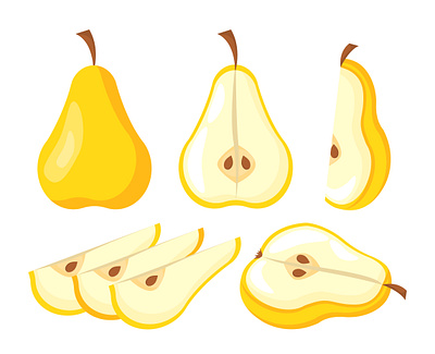 Fruits illustration vector