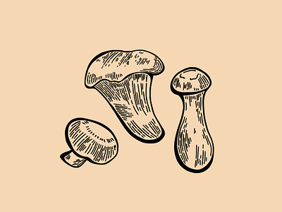 Mushrooms design drawing fungi fungus graphic hand drawn icon illustration illustration art illustrator logo mushroom mushrooms symbol vintage