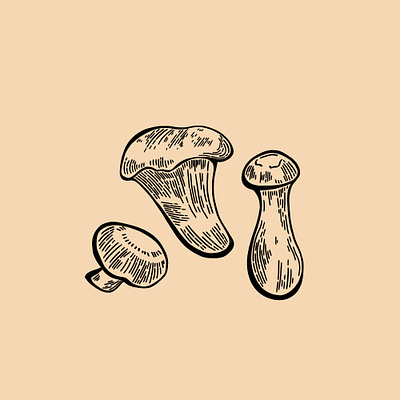 Mushrooms design drawing fungi fungus graphic hand drawn icon illustration illustration art illustrator logo mushroom mushrooms symbol vintage