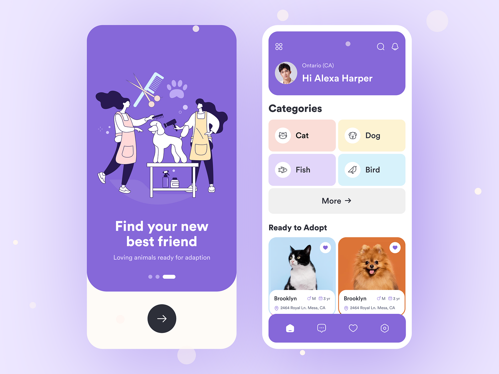 Pet Adoption App by Md Shahed Hossain on Dribbble