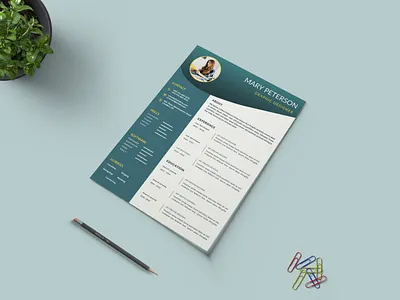 Professional Resume Template business company corporate cover letter creative curriculum vitae cv design cv template editable elegant minimal modern others professional professional resume resume resume template stylish template
