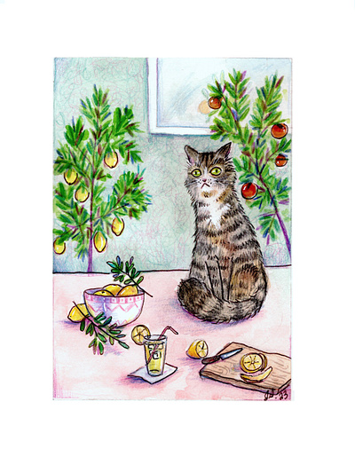 Cat and citrus 3