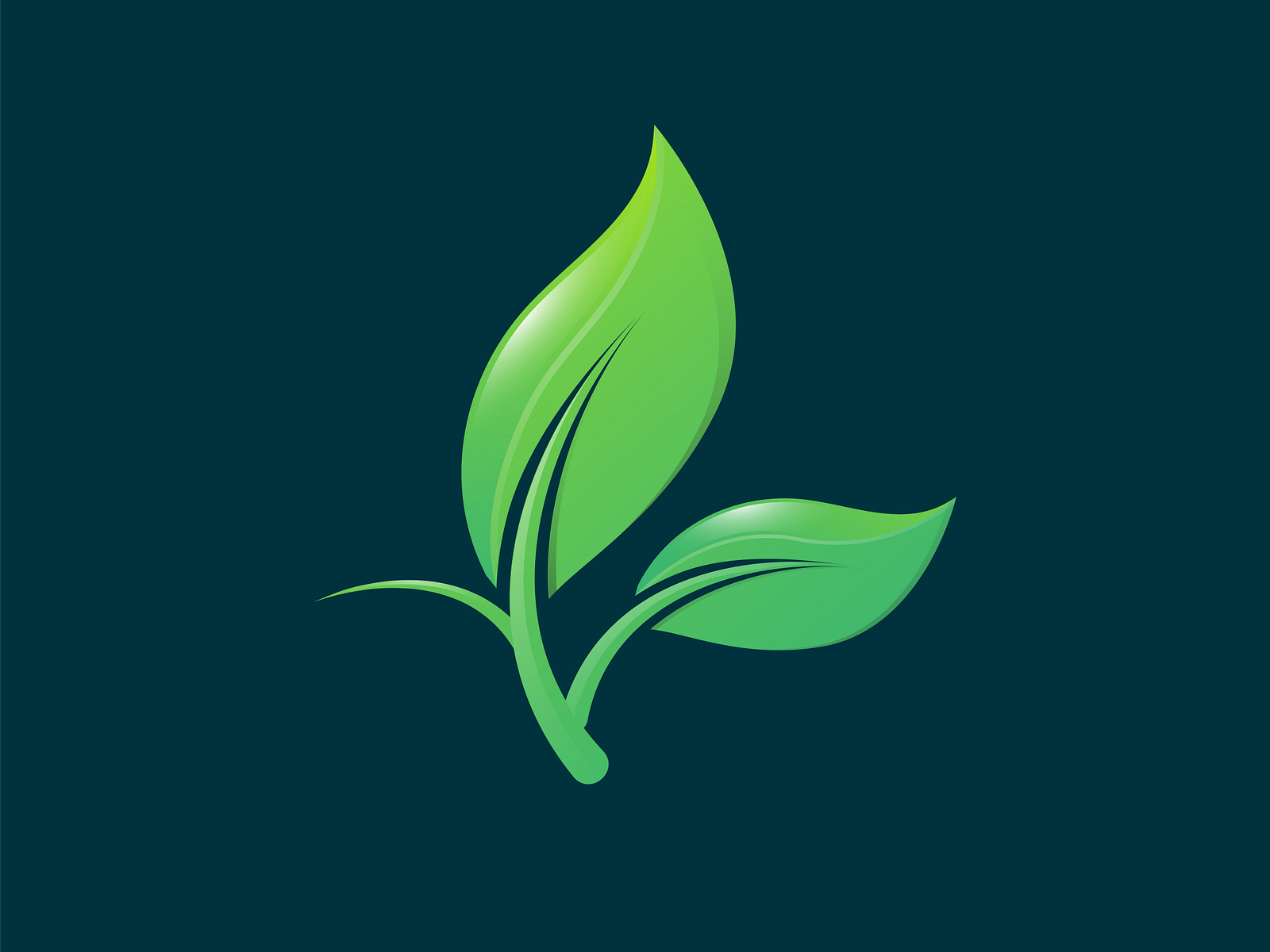 Ever Nature - Logo Design by Shahin Alam on Dribbble