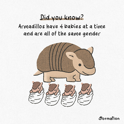 Armadillos have 4 babies at a time animal armadillo armadillos cartoon did you know digital art digital illustration fact fun fact illustration procreate wild animal