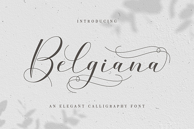 Belgiana Script branding cover design display fonts illustration logo modern typography wedding
