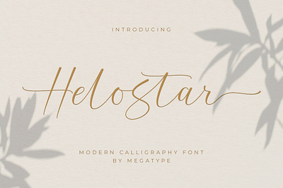 Helostar Font branding cover design display fonts illustration logo modern typography wedding