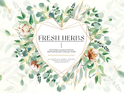 Fresh herbs - eucalyptus & cotton