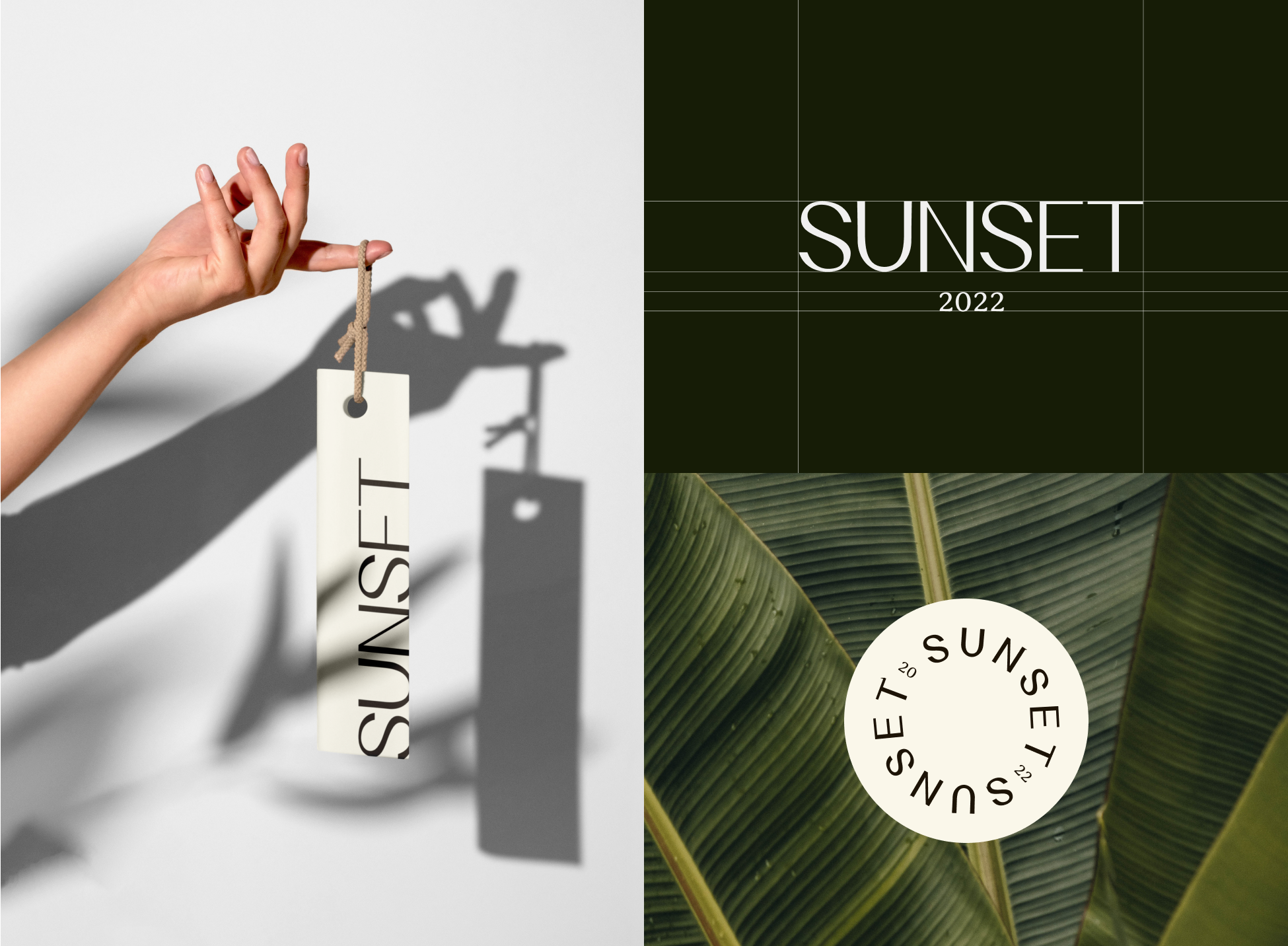 Sunset Branding beach brand branding colors design fashion graphic design graphicdesign green illustration logo nature summer typo typography typography art