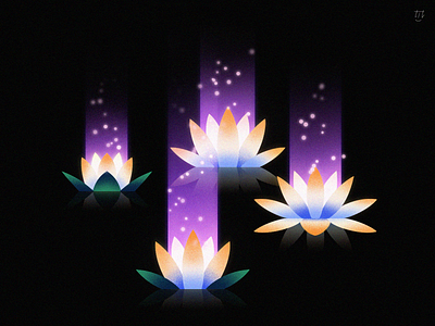 Lotus - 荷花 💚 dark flower flowers green illustration illustrator light lotus natural nature night plants river vector vectorart