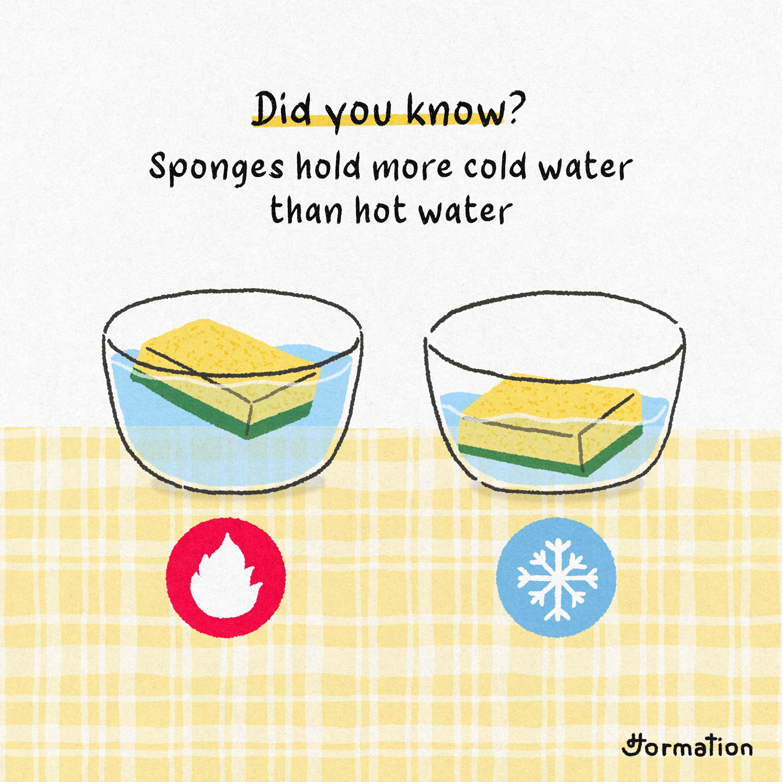 Sponges hold more cold water than hot water cartoon did you know digital art digital illustration fact of the day fun fact illustration science sponge water