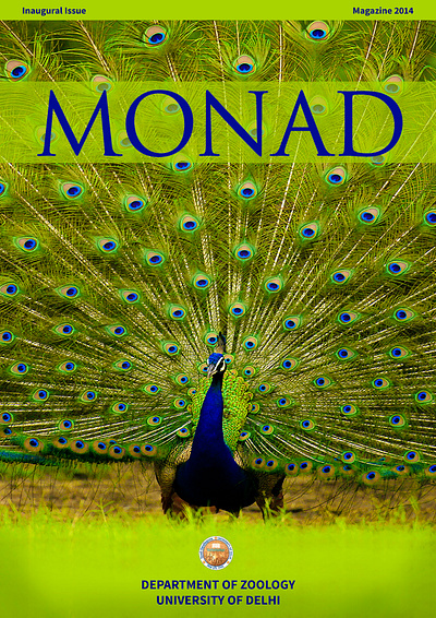 Monad - the magazine bird cover design design magazine peacock photography wildlife