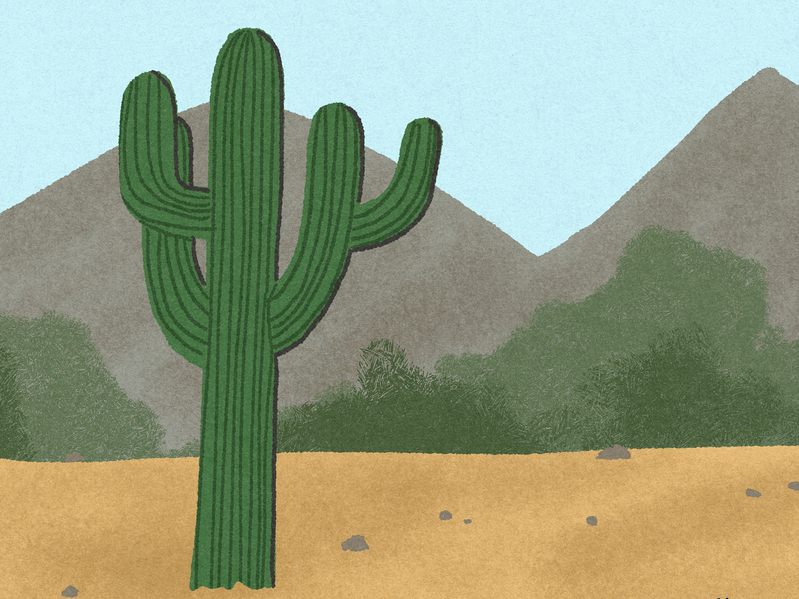 it-is-illegal-to-cut-down-a-cactus-in-arizona-by-jormation-on-dribbble