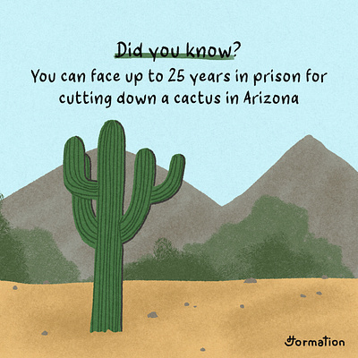 It is illegal to cut down a cactus in Arizona arizona cactus did you know digital art digital illustration fact fun fact illustration prison